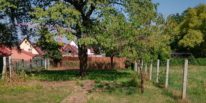 Objekt 612, Amtsberg in Vieselbach